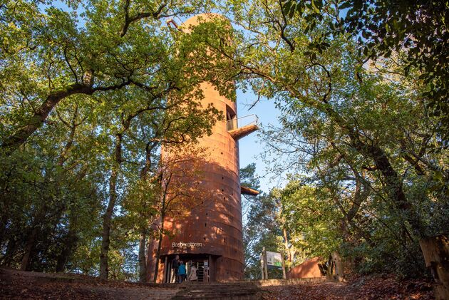 De Bosbergtoren is het hoogste punt van het Friese vasteland