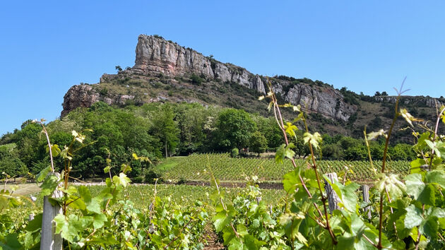 Bourgogne Solutre\u0301 rock gezichtsbepalend voor deze regio
