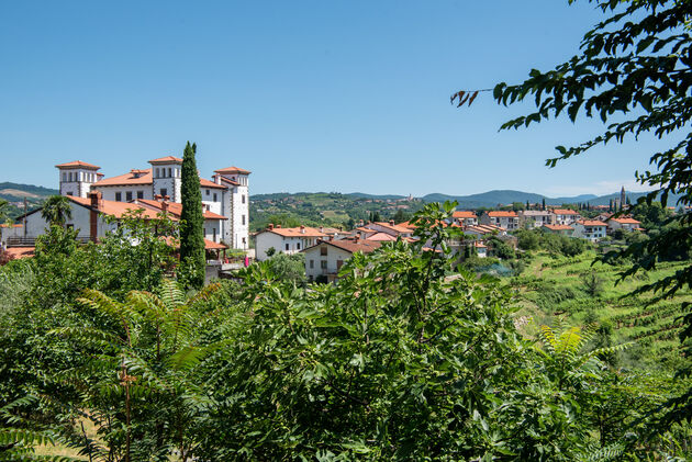 Uitzicht op het kasteel van Dobrovo