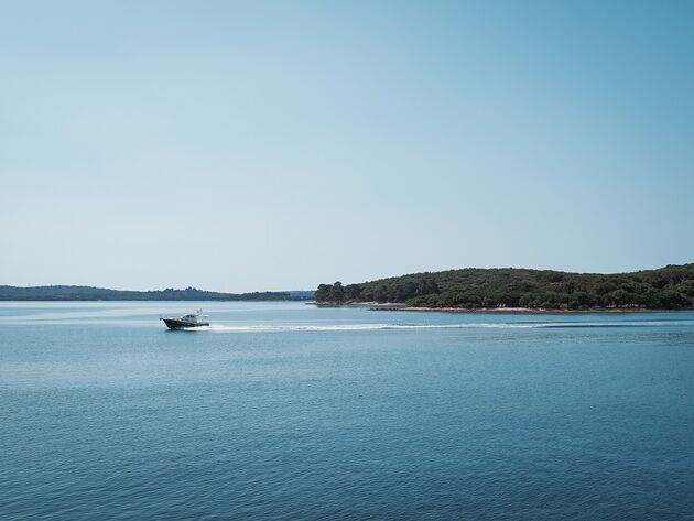 Er varen dagelijks grote en kleine bootjes naar de Brijuni eilanden