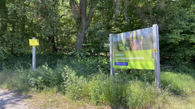 Wandelen op de Brunssummerheide