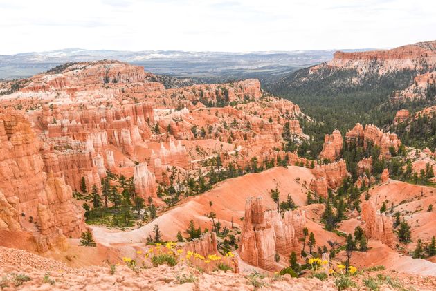 Een ravijn vol met rode rotspieken: de hoodoos