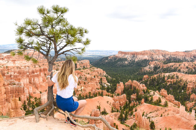 De eerste stop van onze roadtrip: Bryce Canyon