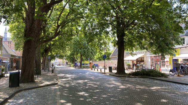 Burgh-Haamstede midden in het groen een fietswalhalla