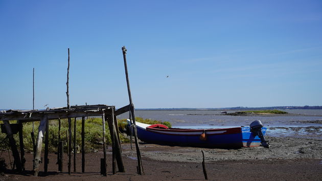 Cais_Palafítico_da_Carrasqueira_50.