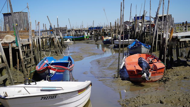 Cais_Palafítico_da_Carrasqueira_59.