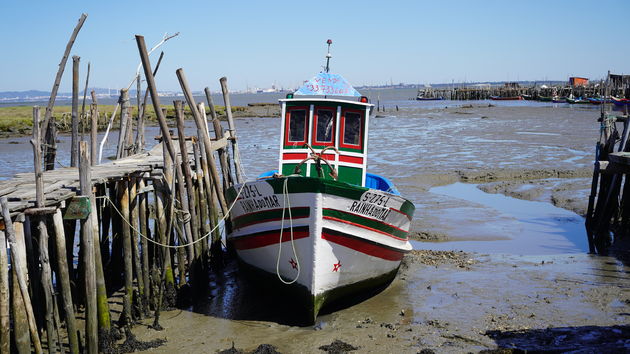 Cais_Palafítico_da_Carrasqueira_67.