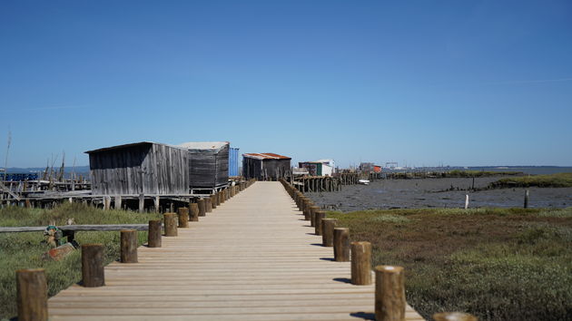 Cais_Palafítico_da_Carrasqueira_79.