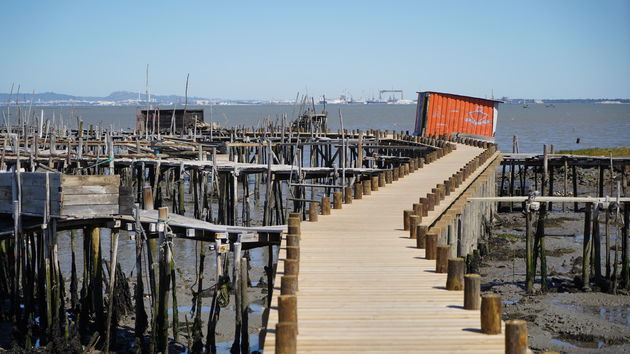 Cais_Palafítico_da_Carrasqueira_88.