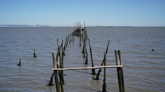 Cais_Palafítico_da_Carrasqueira_96.