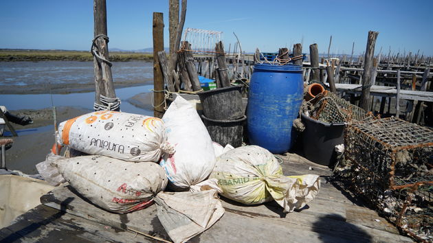 Cais_Palafítico_da_Carrasqueira_99.