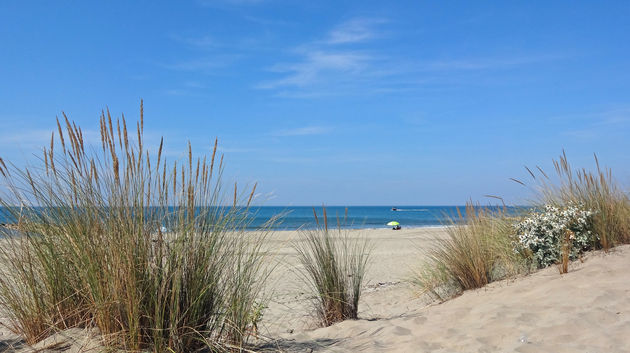 Een fijn strand in de Camargue Foto: Pixelheld - Fotolia