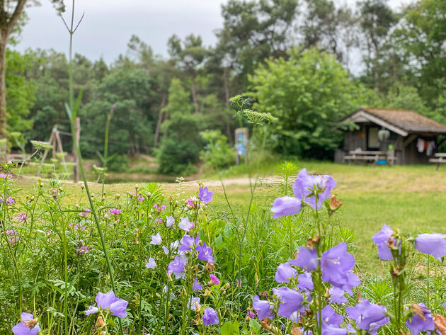 Om onze vakantie te eindigen midden in de bossen!