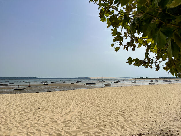 Eb in Cap Ferret