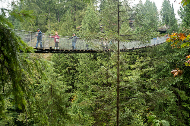 De brug hangt op een hoogte van 70 meter