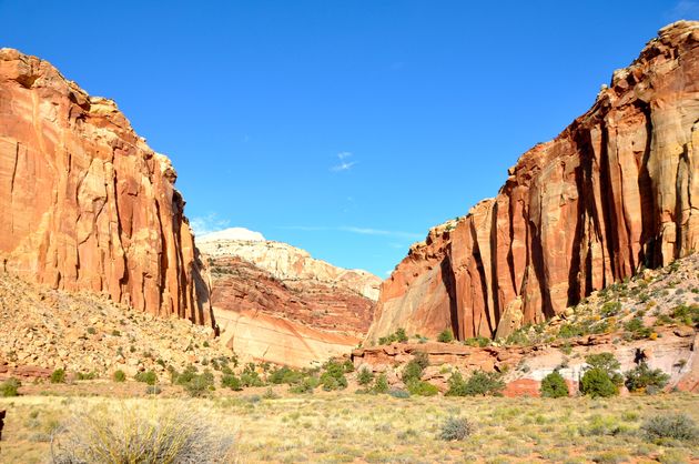 Capitol Reef National Park: the heart of red rock country