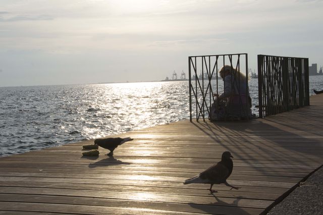 Ook de vogels genieten van de zonsondergang