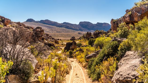 Het prachtige ruige landschap van de Cederbergen\u00a9 dsphotographycpt - Adobe Stock