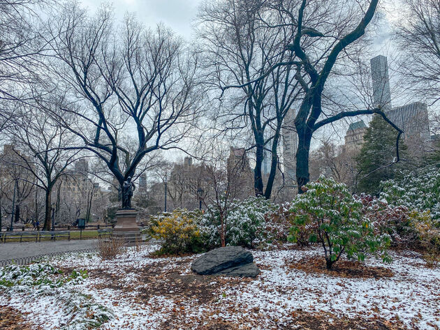 Een dun laagje sneeuw in Central Park