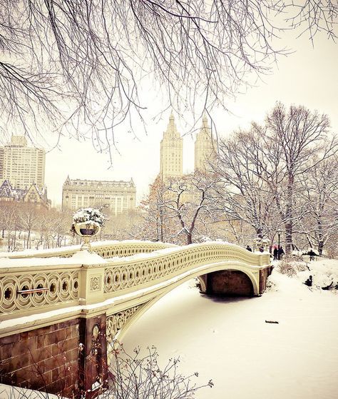 2. Als je New York bezoekt mag een rondje Central Park niet ontbreken.