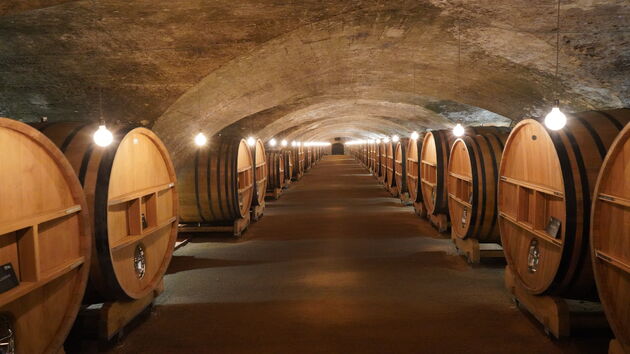 Precies onder de fermentatievaten staan de eikenhouten opslagvaten voor de wijn
