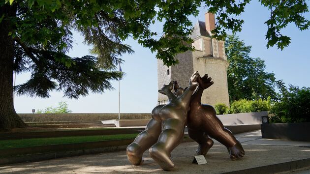 Ook bij het Cha\u0302teau in Blois is overal kunst te vinden