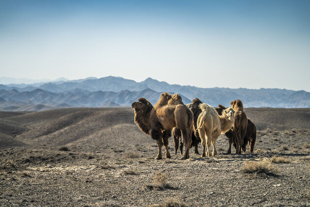 De gelukkige bewoners van dit magische landschap