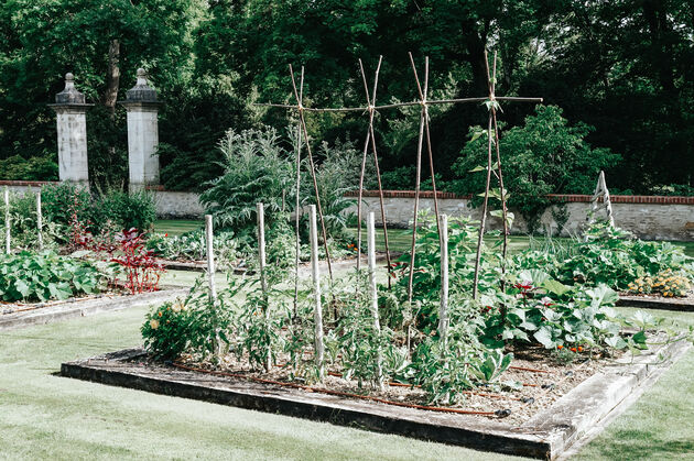 Wat een mooie moestuin