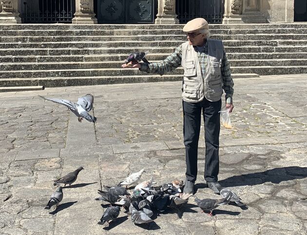 <em>Een oude man voert elke dag de duiven op een plein in Chaves.<\/em>