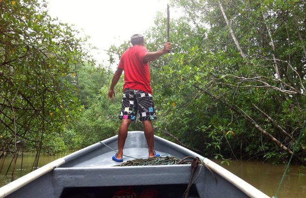 Stukje varen door de dichtbegroeide mangrove