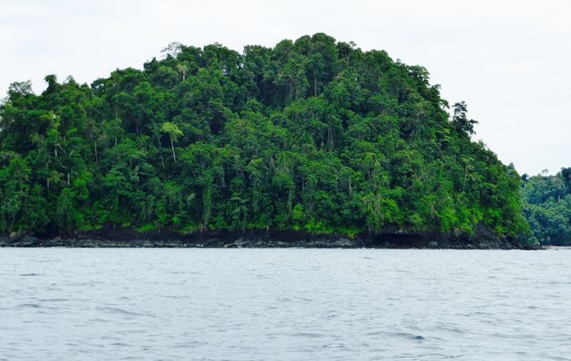 Onderweg naar Coiba: eilandjes met dichtbegroeide jungle