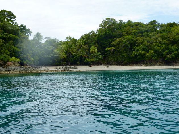 De perfecte plek om te snorkelen op Coiba