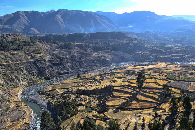 In de Colca Canyon vind je overal terrasvormige velden uit de pre-incatijd.