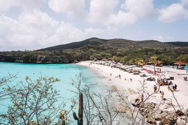 Grote Knip: het beroemdste strand van Curacao