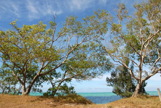 Bourail, West Coast