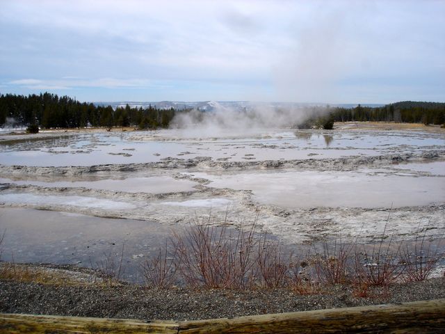 Geisers in Yellowstone National Park