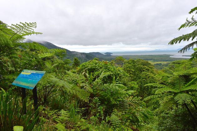 Een van de uitzichtpunten in Daintree