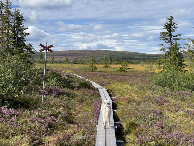 Het mooiste van Zweden: ontdek de regio Dalarna