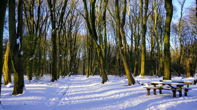 Sneeuw maakt alles mooier