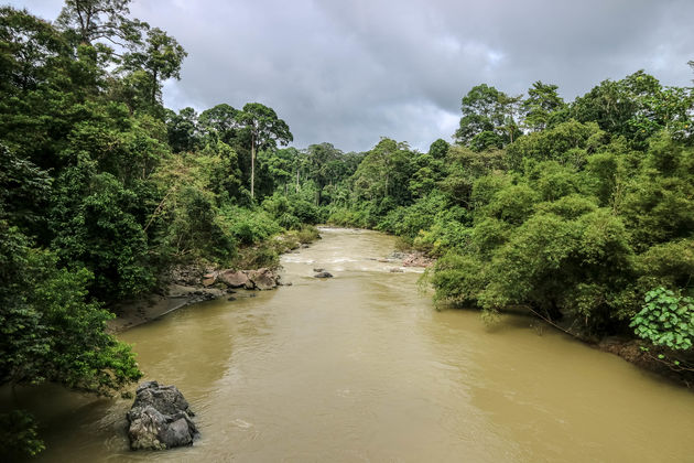 Het Danum Valley Field Center ligt aan deze schitterende rivier