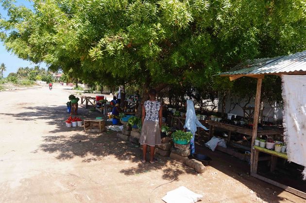 Must do: bezoek de winkeltjes langs de kant van de weg en koop vers fruit