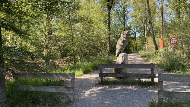 Wandelen over water en heel veel dieren