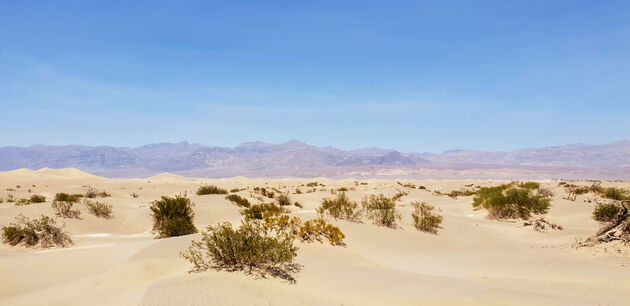 Death Valley Mesquite Flat Sand Dunes