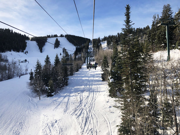 Ondanks dat de gebieden hoog liggen, ski je in Utah zo goed als altijd tussen de bomen.