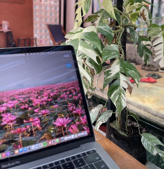 digital-nomad-thailand.jpeg