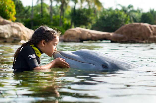 Zwemmen met dolfijnen in Discovery Cove