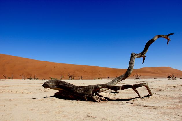 Genieten tussen de oranje zandduinen en de Dodevlei