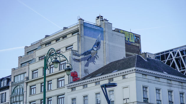 doen-brussel-graffiti.jpeg