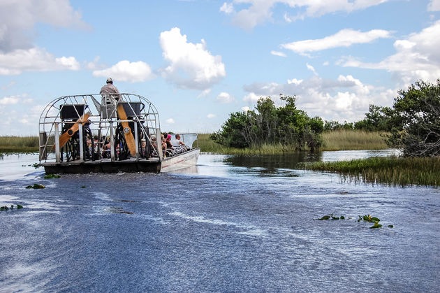 Doen: met een airboat door de Everglades!