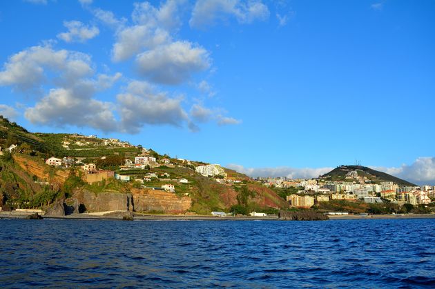 Langs de kust kun je dolfijnen en walvissen spotten